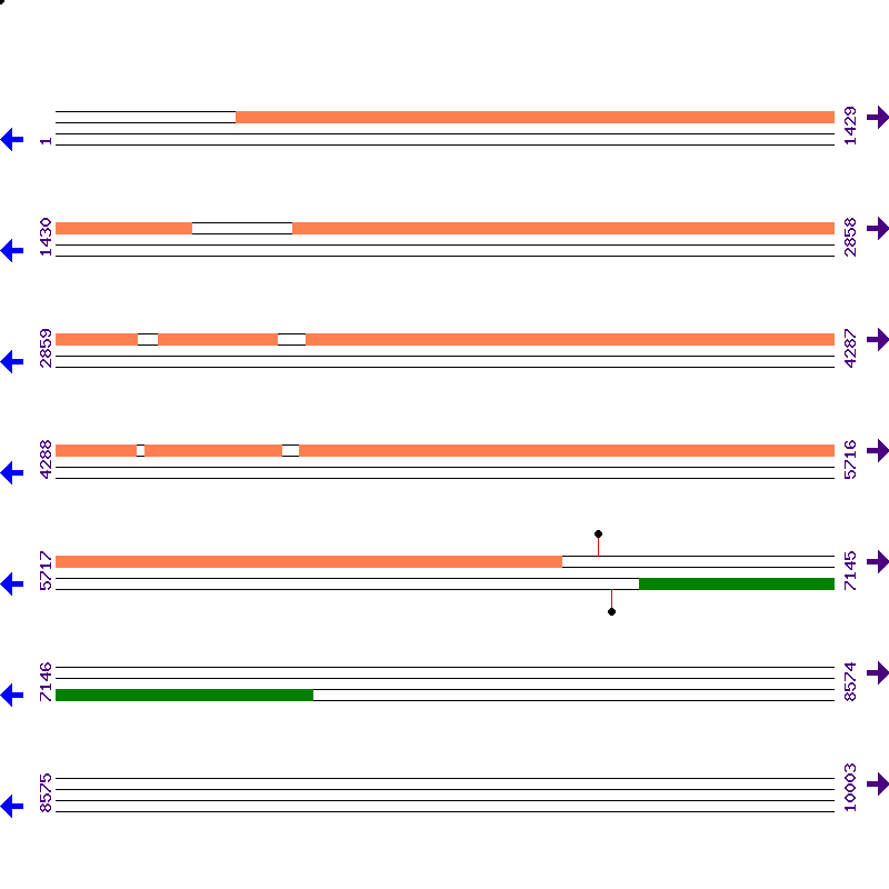 Genome View