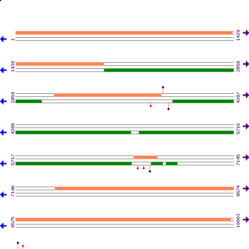 Genome View