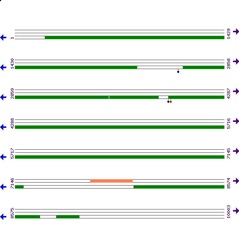 Genome View