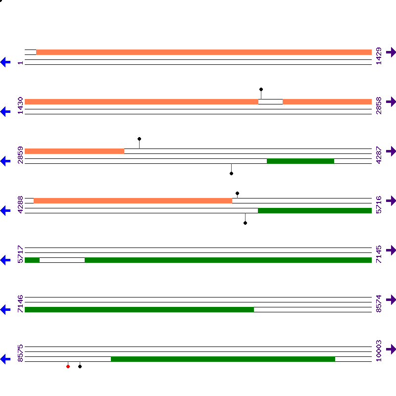 Genome View