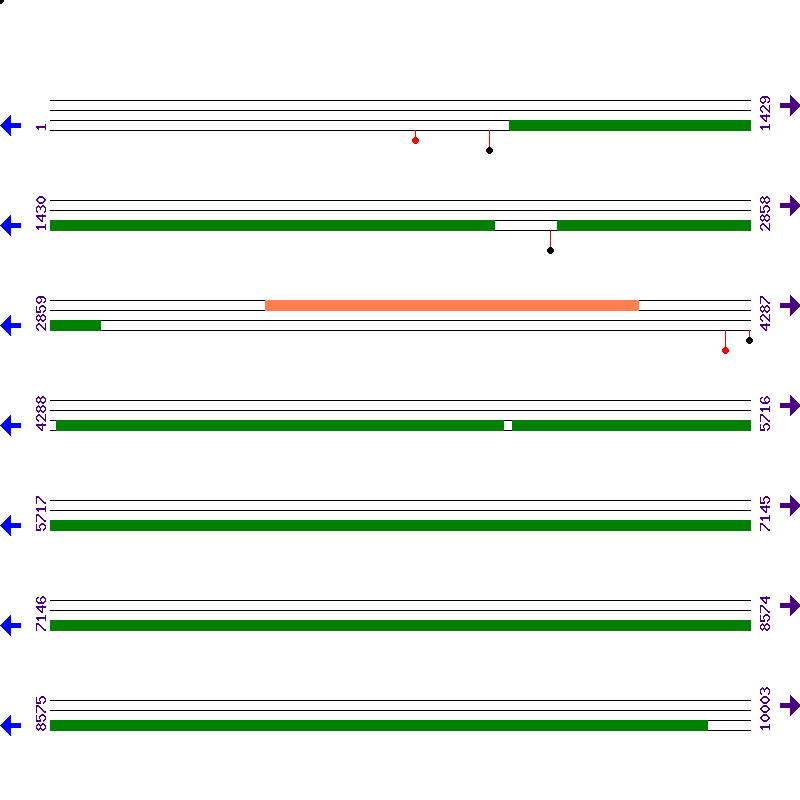 Genome View