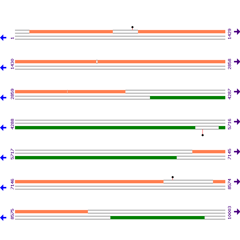 Genome View
