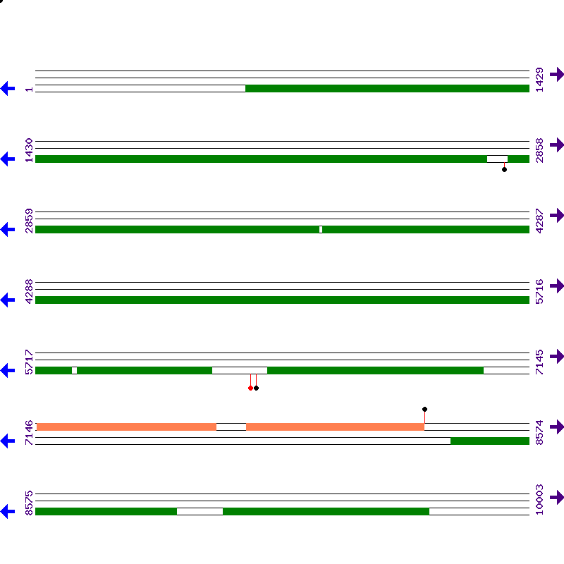 Genome View