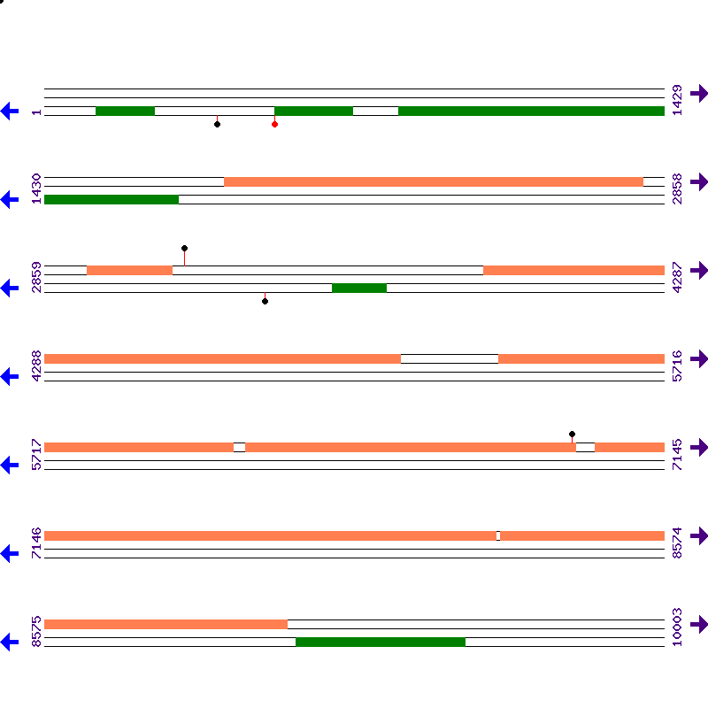 Genome View
