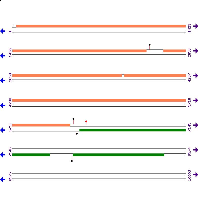 Genome View