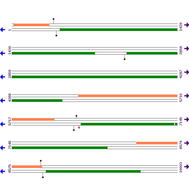 Genome View