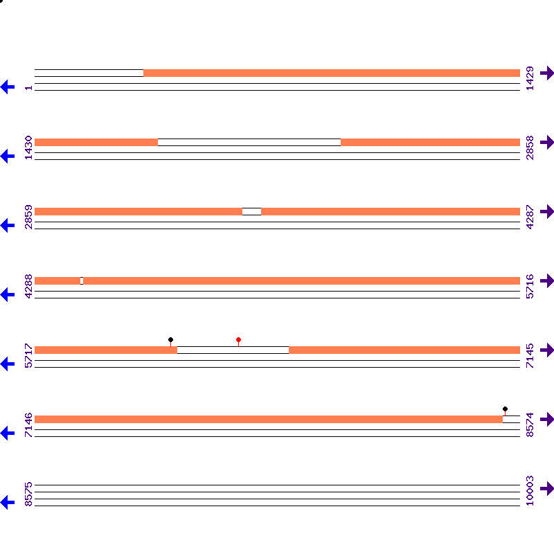 Genome View