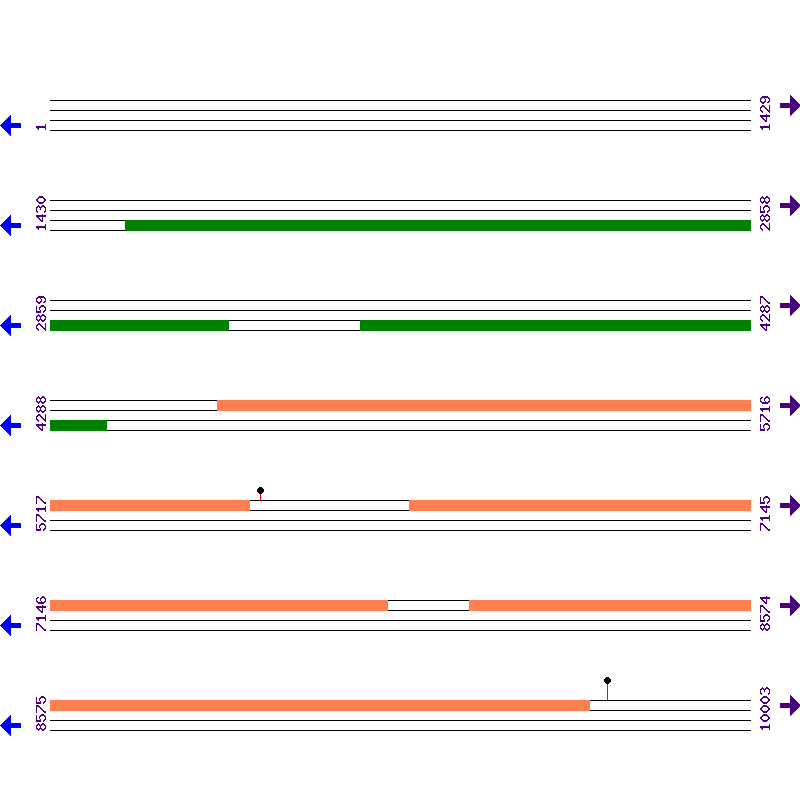 Genome View