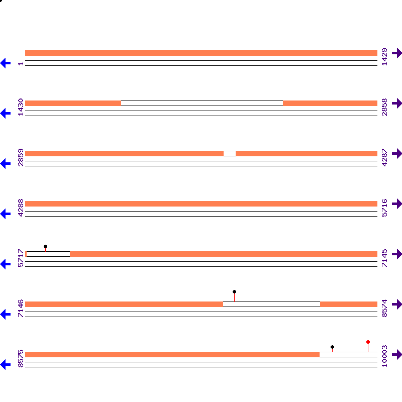 Genome View