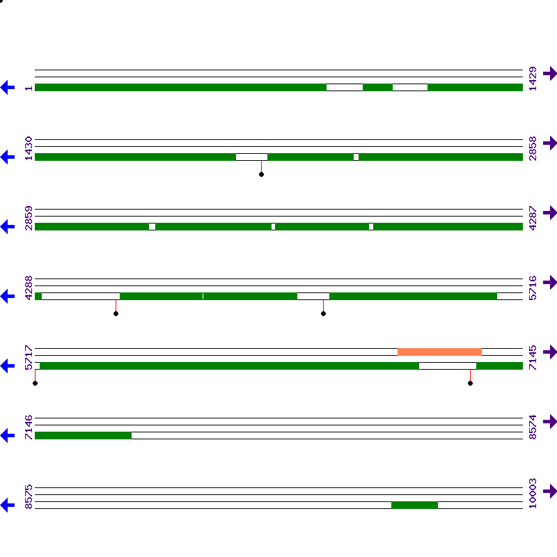 Genome View