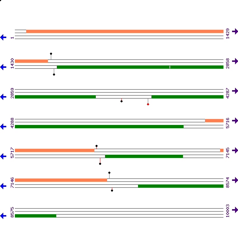 Genome View