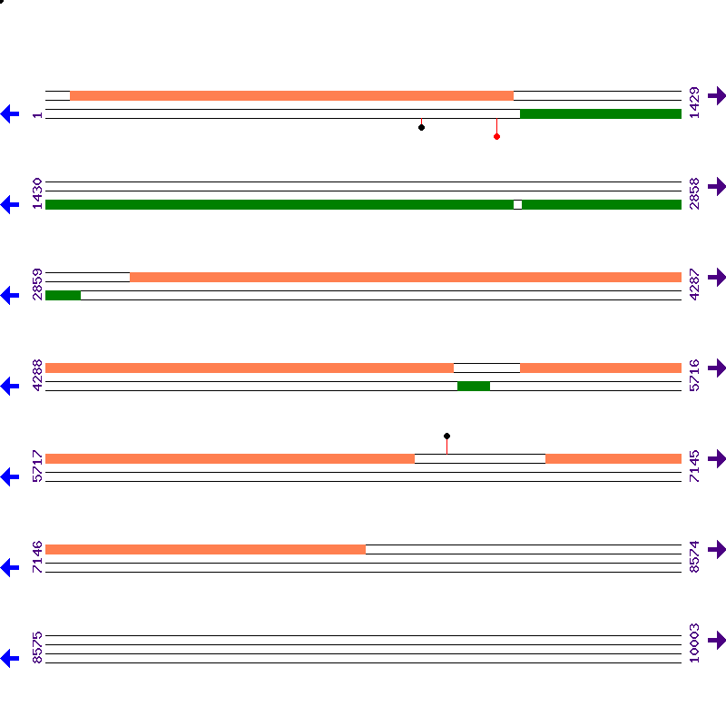 Genome View