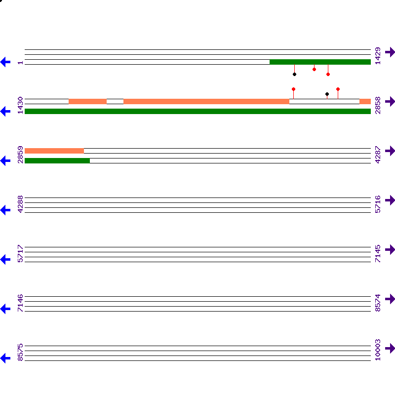 Genome View