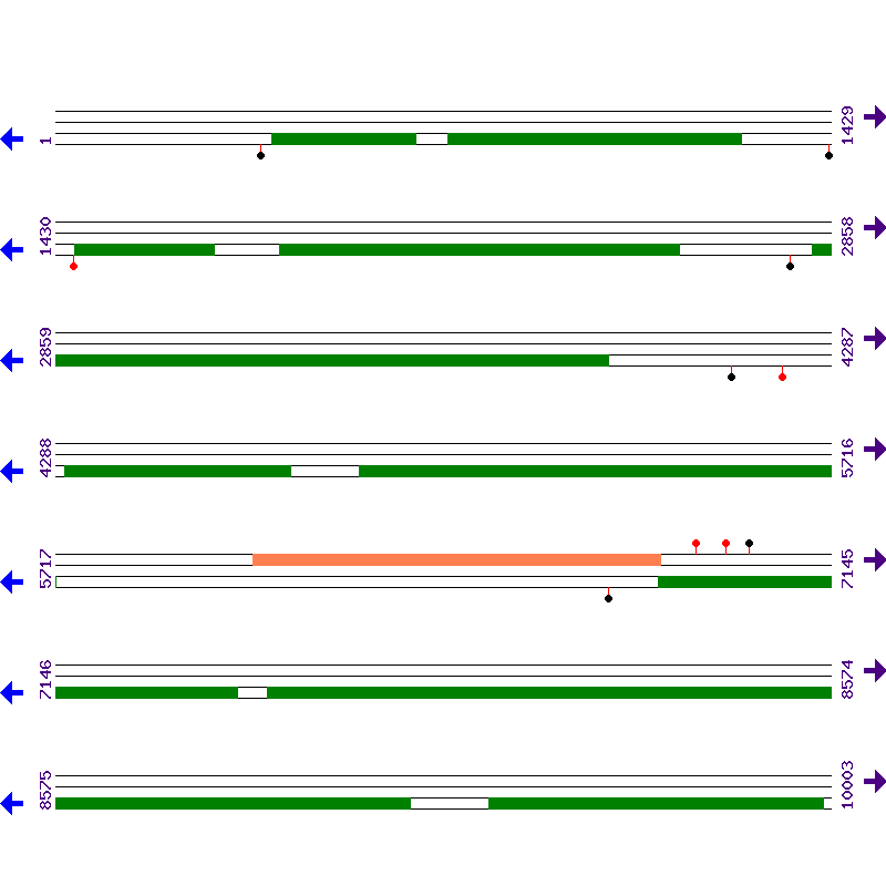 Genome View
