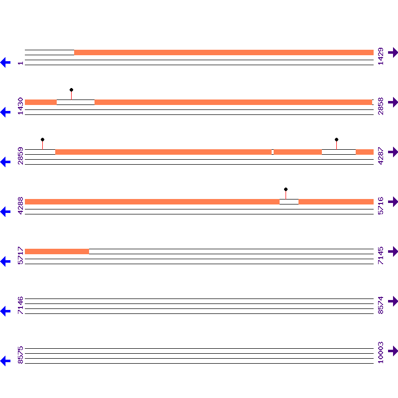 Genome View