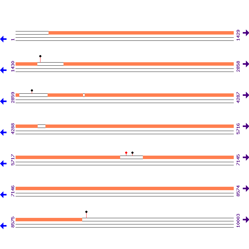Genome View