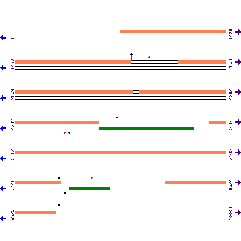 Genome View