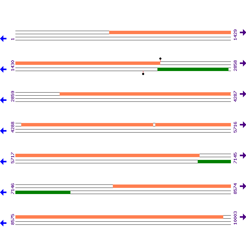 Genome View