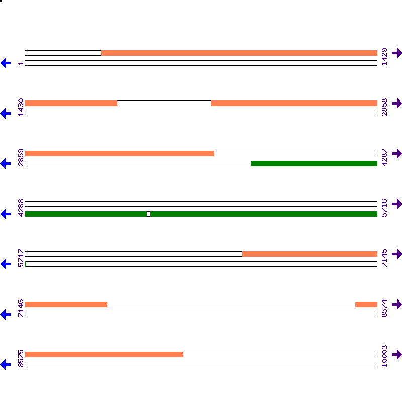Genome View