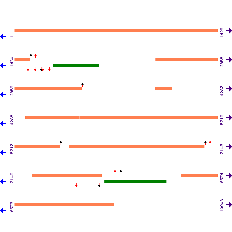 Genome View