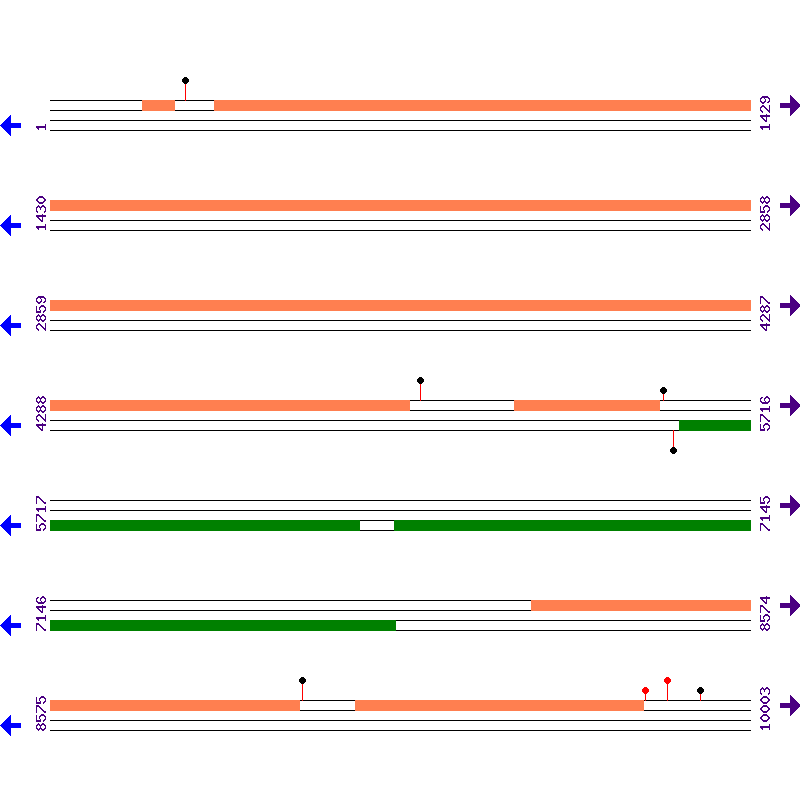 Genome View