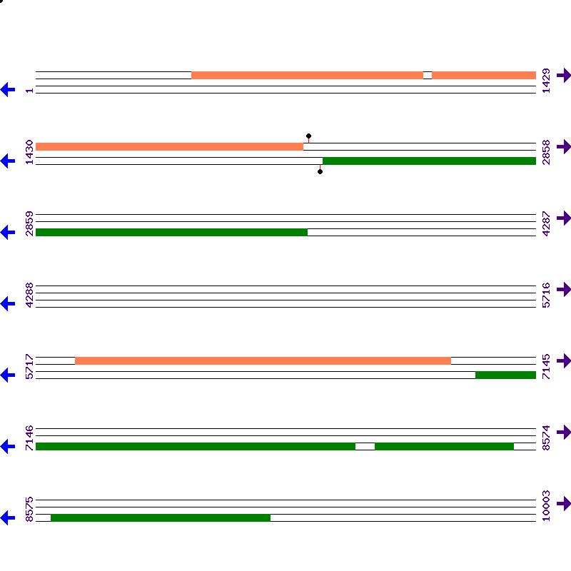 Genome View