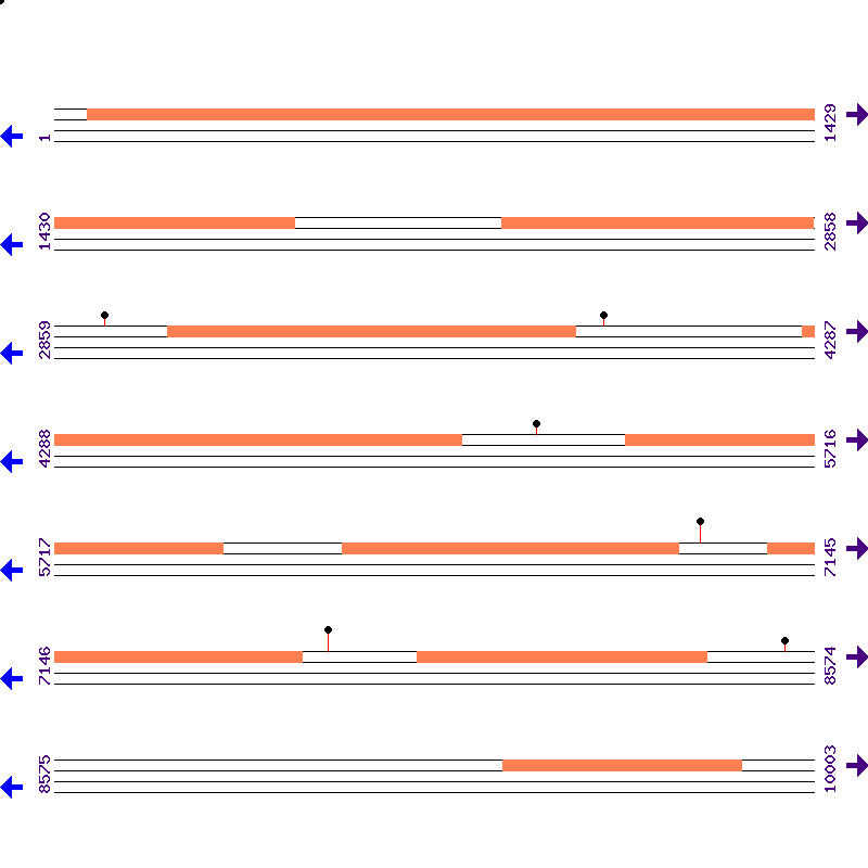 Genome View