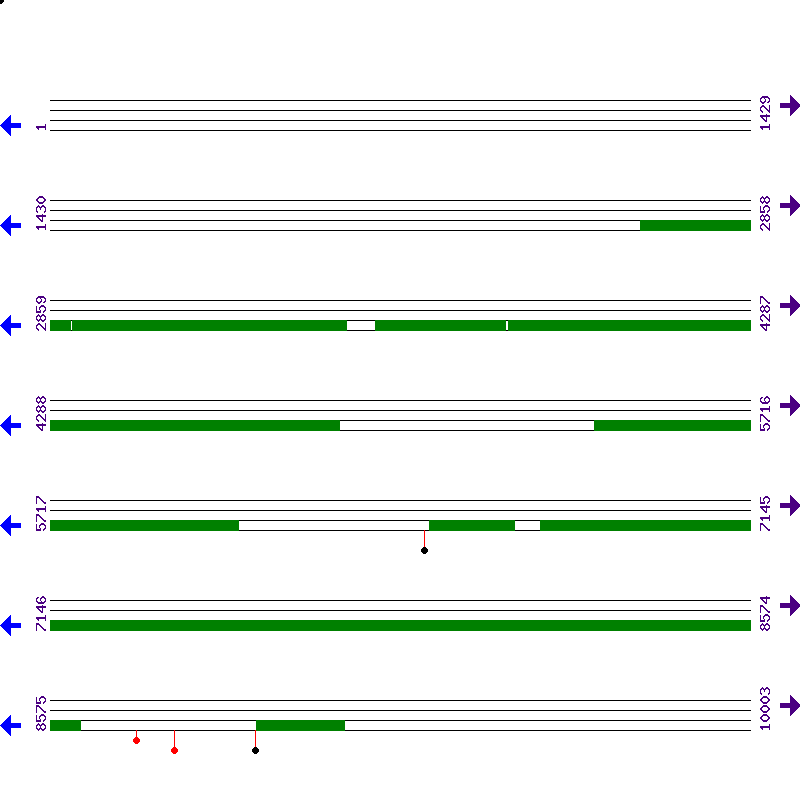 Genome View
