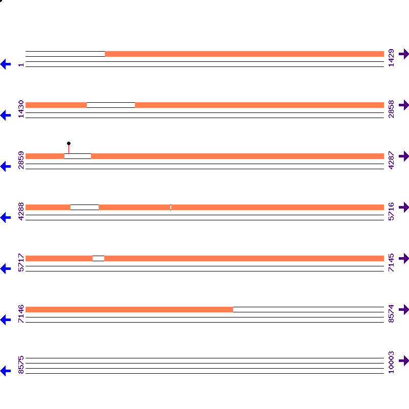 Genome View