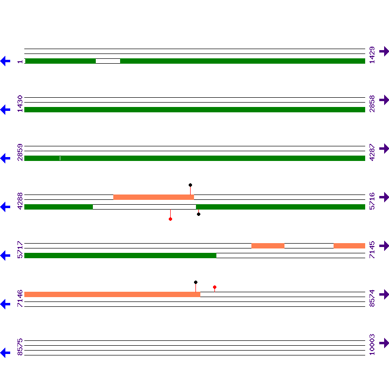 Genome View