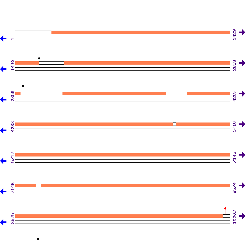 Genome View