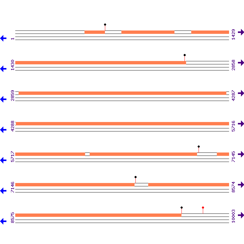Genome View