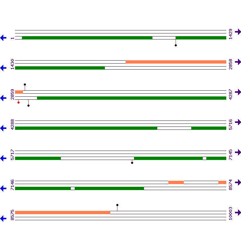 Genome View