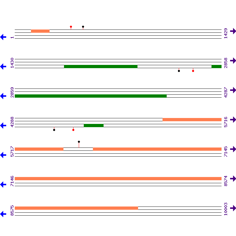 Genome View