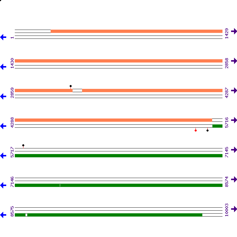 Genome View