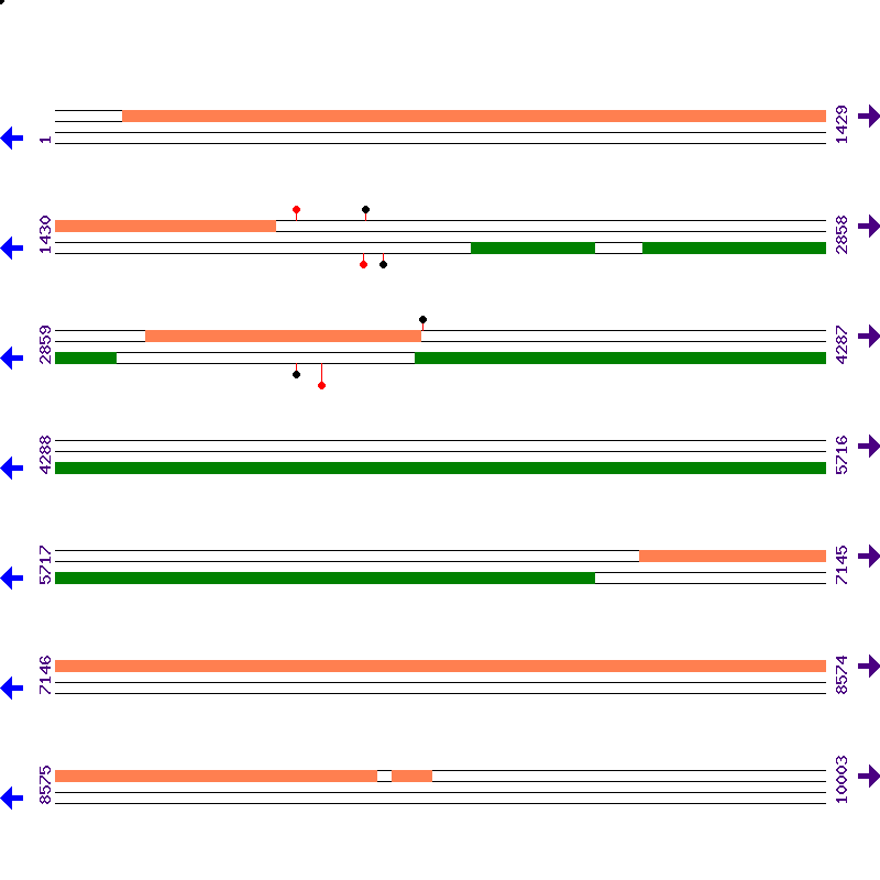 Genome View