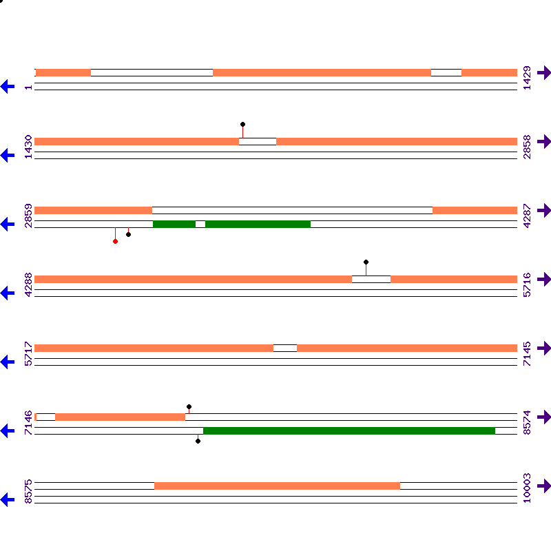 Genome View
