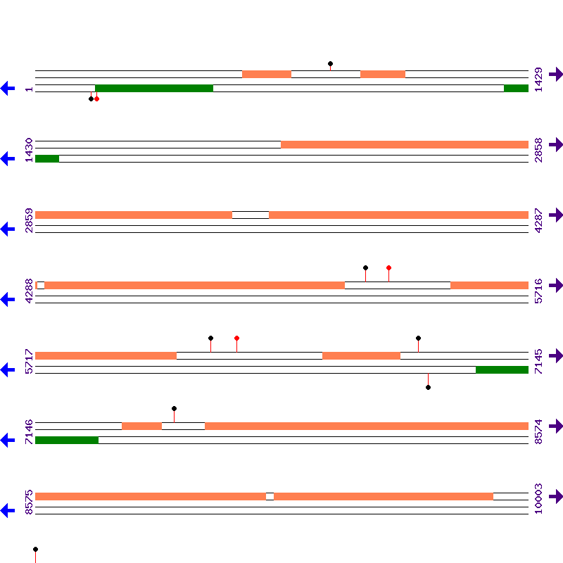 Genome View