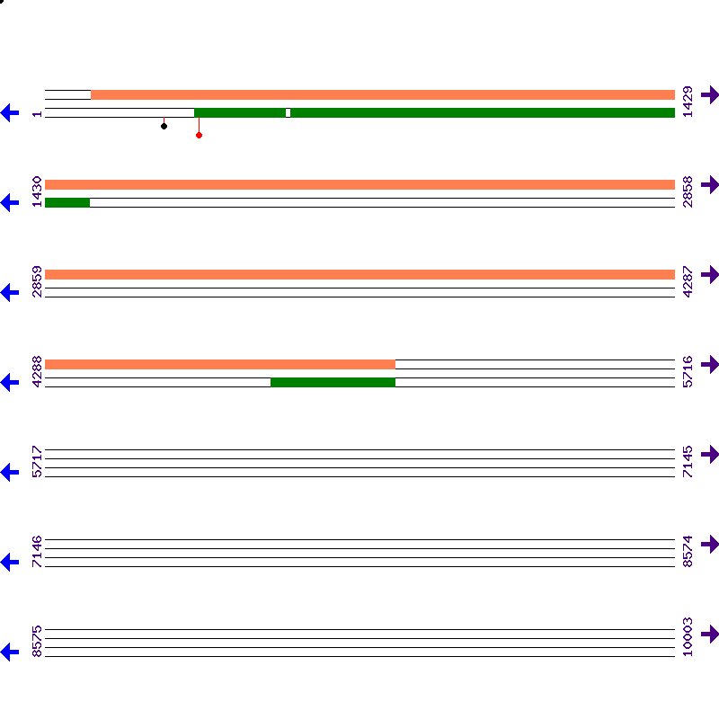 Genome View