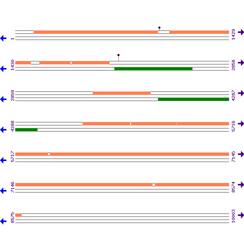 Genome View