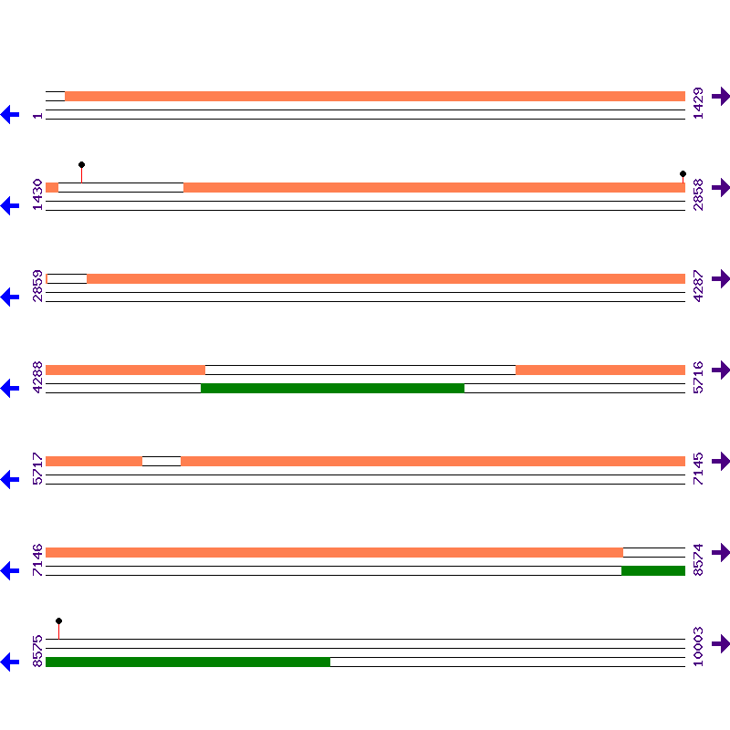Genome View