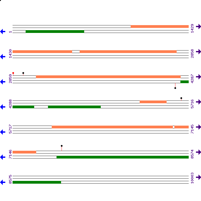 Genome View