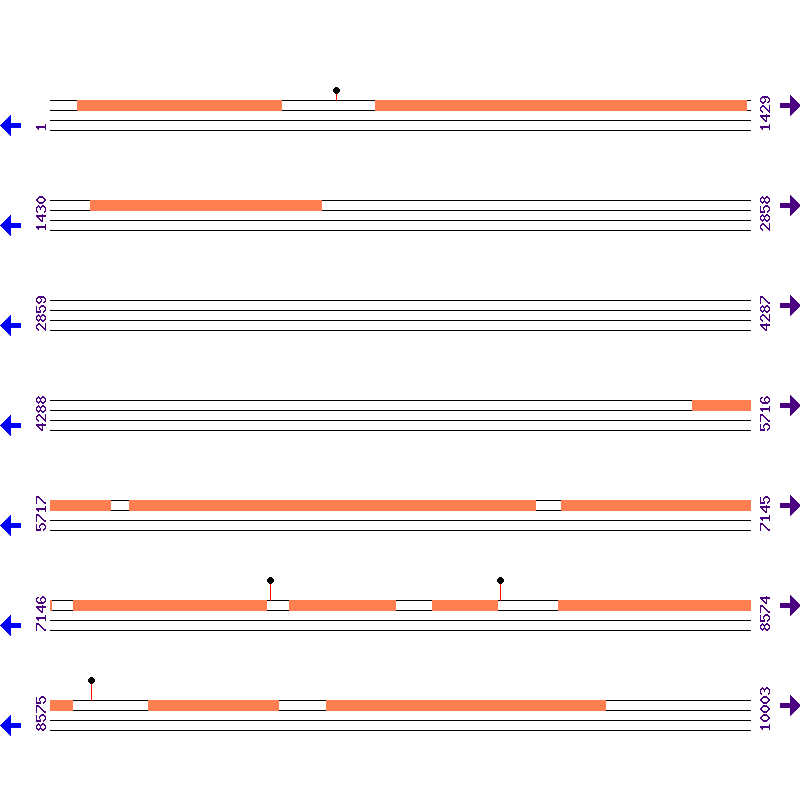 Genome View