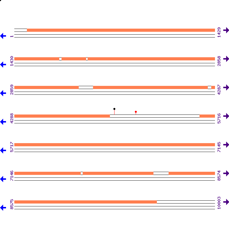Genome View