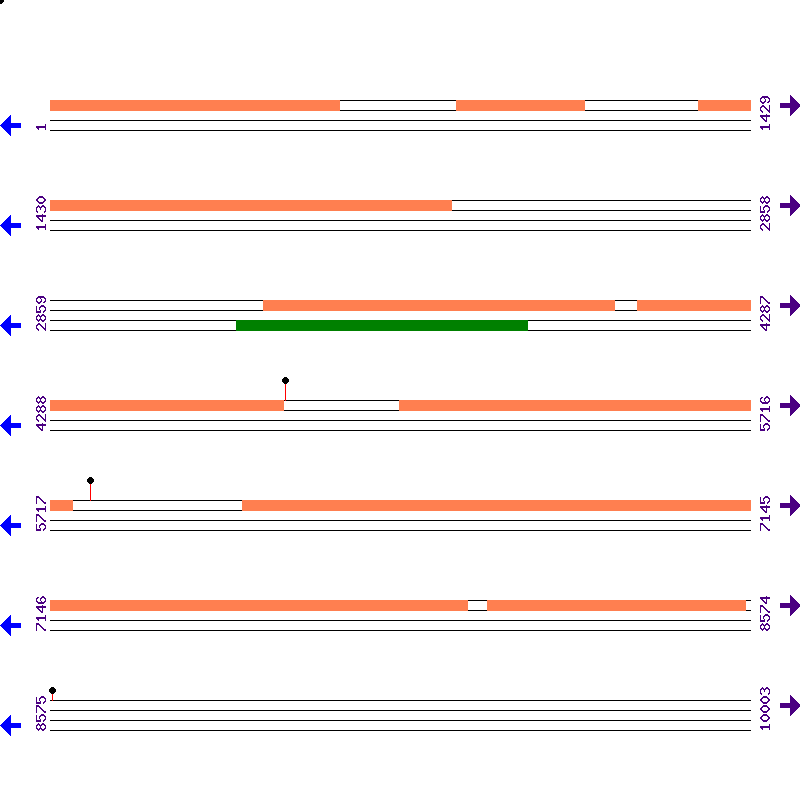 Genome View