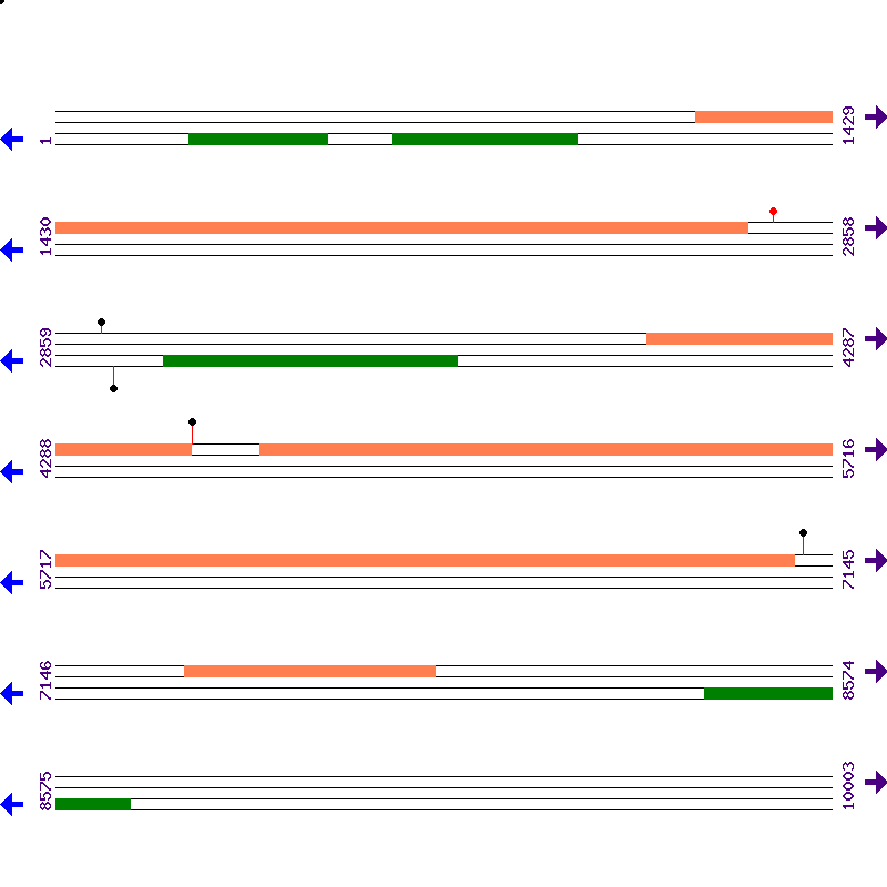 Genome View
