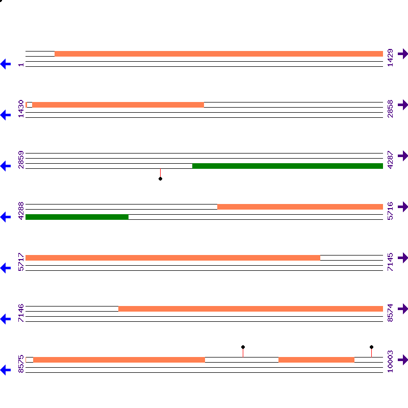 Genome View