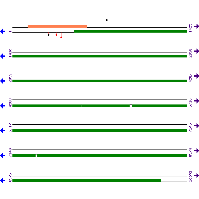 Genome View