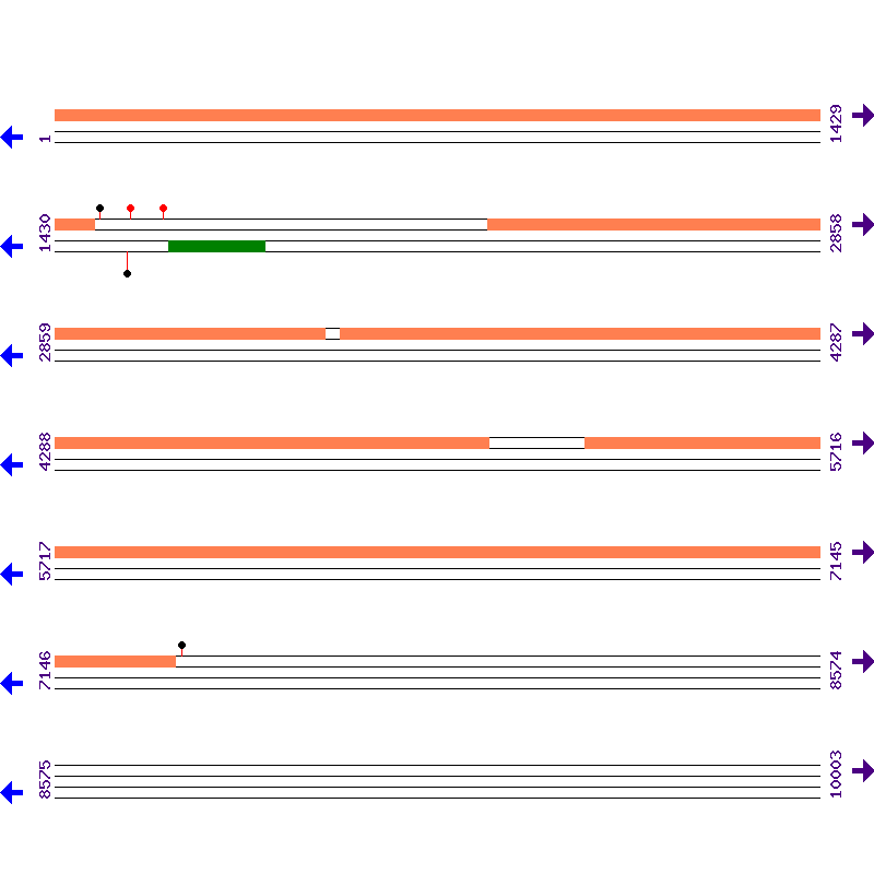 Genome View