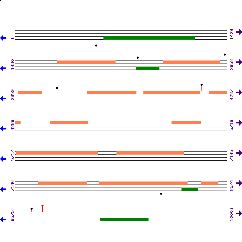 Genome View